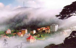 Có một Rùng Rình đẹp tuyệt giữa Tam Đảo mù sương